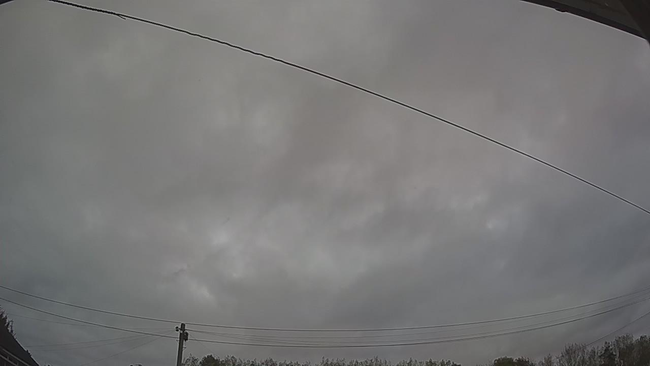 20261012_173144_cam2.jpg