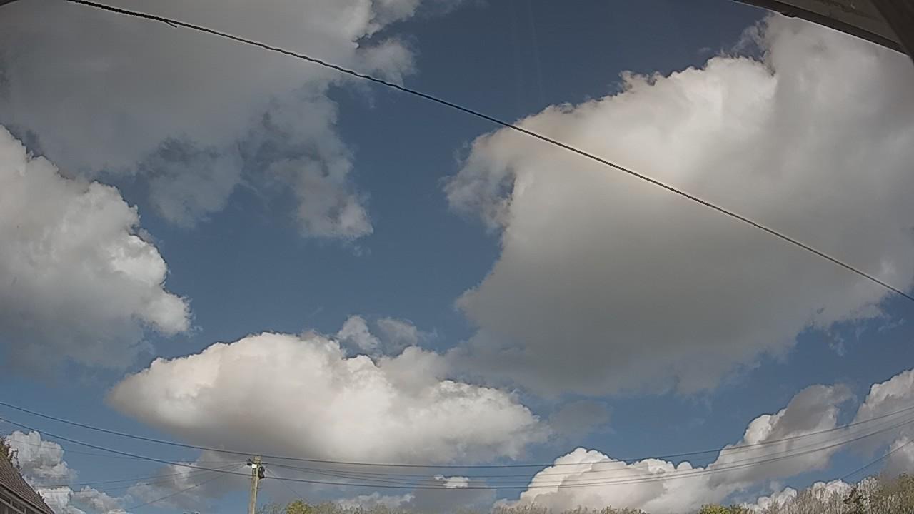 20261013_123131_cam2.jpg