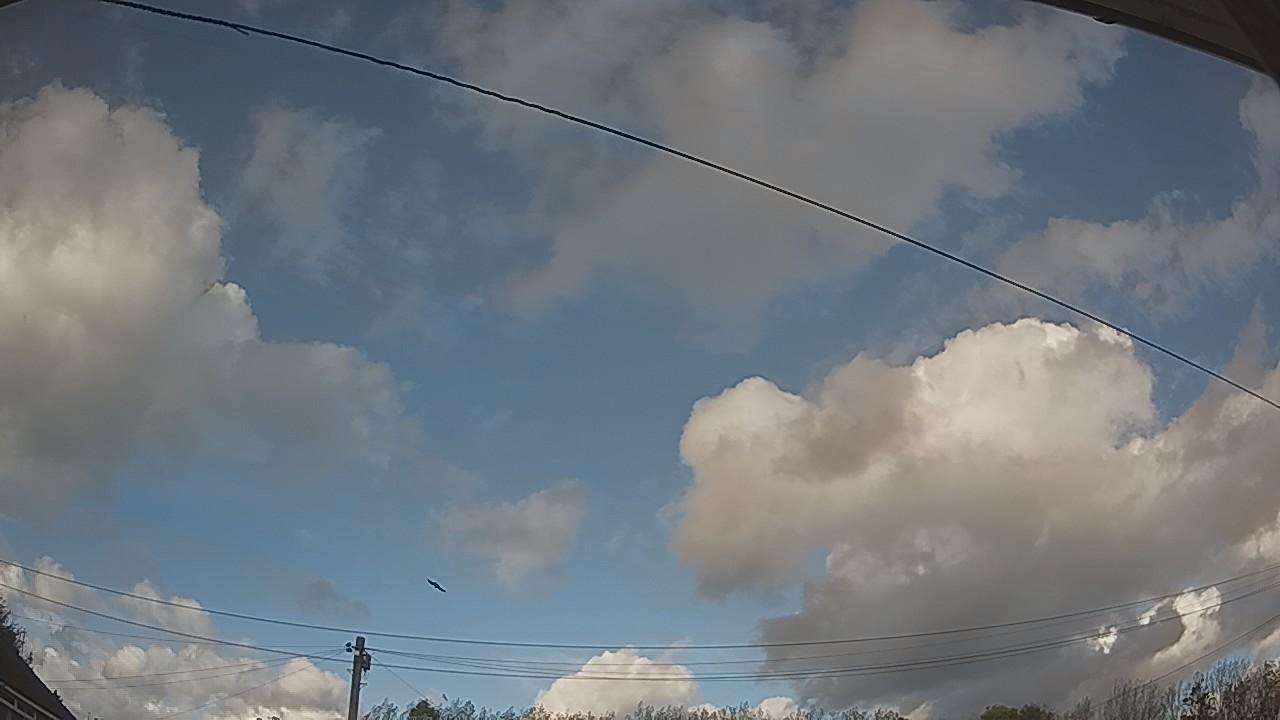 20261013_151657_cam2.jpg