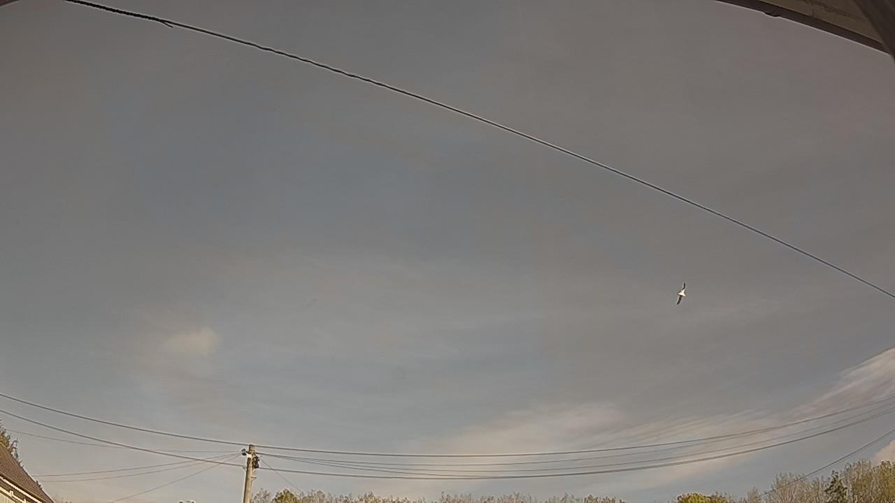 20261014_101545_cam2.jpg