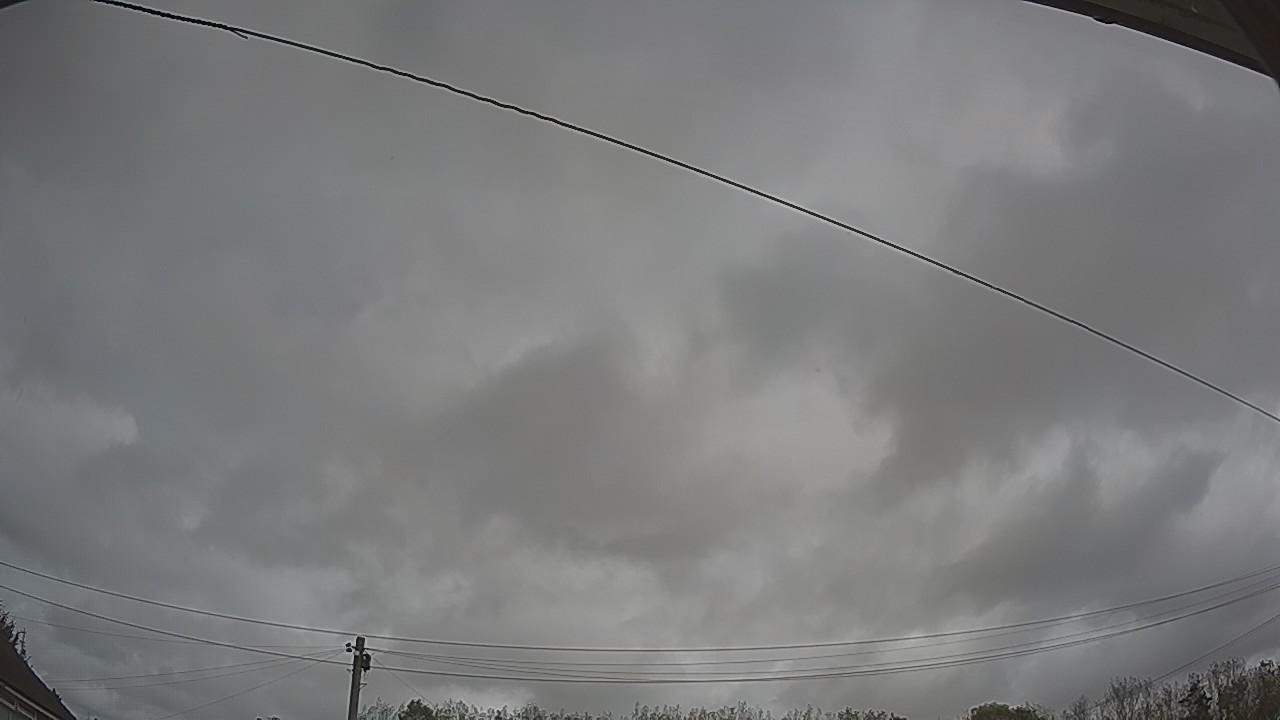 20261014_113006_cam2.jpg