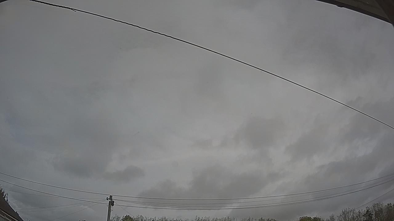 20261014_114530_cam2.jpg