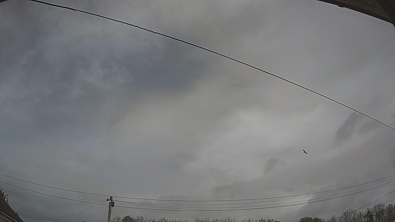 20261014_124347_cam2.jpg