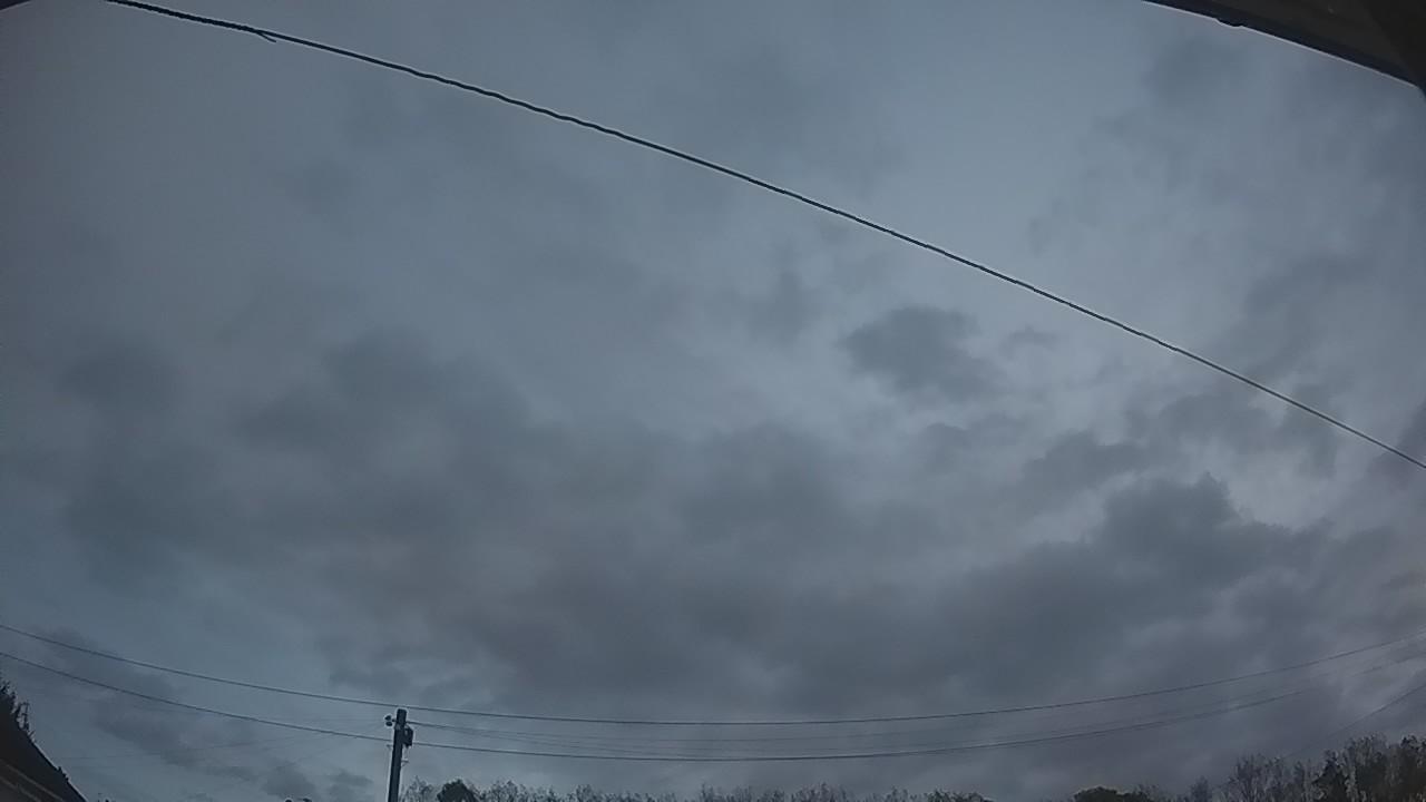 20261015_061341_cam2.jpg
