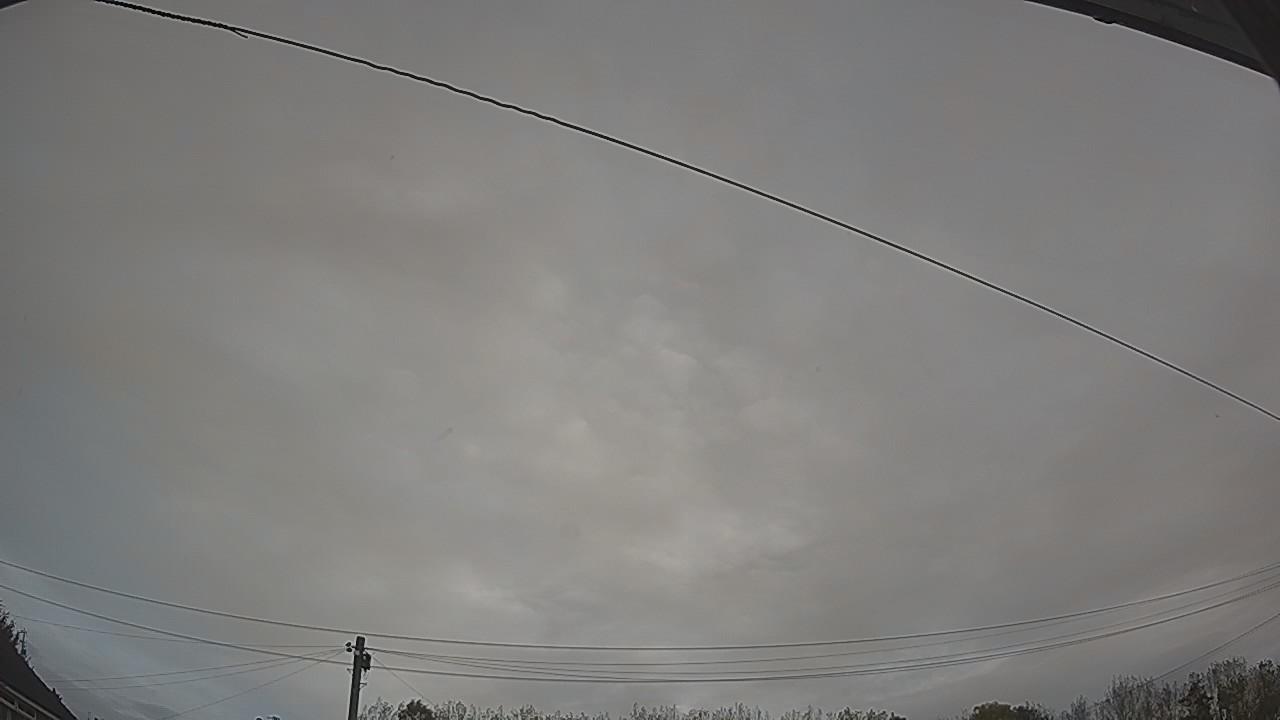 20261015_074629_cam2.jpg