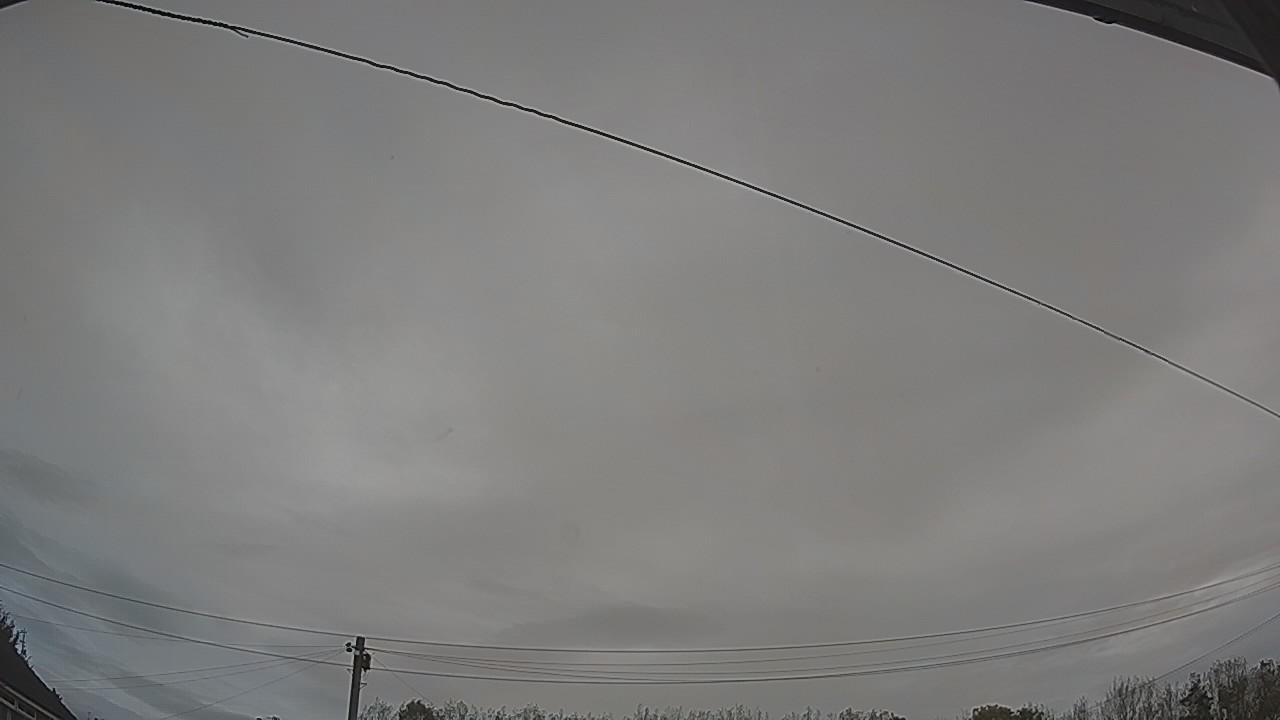 20261015_080102_cam2.jpg