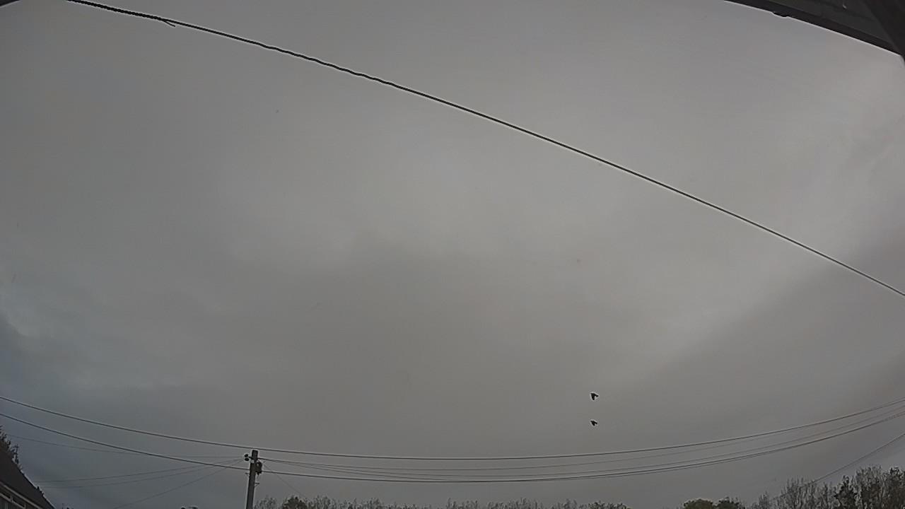 20261015_081116_cam2.jpg