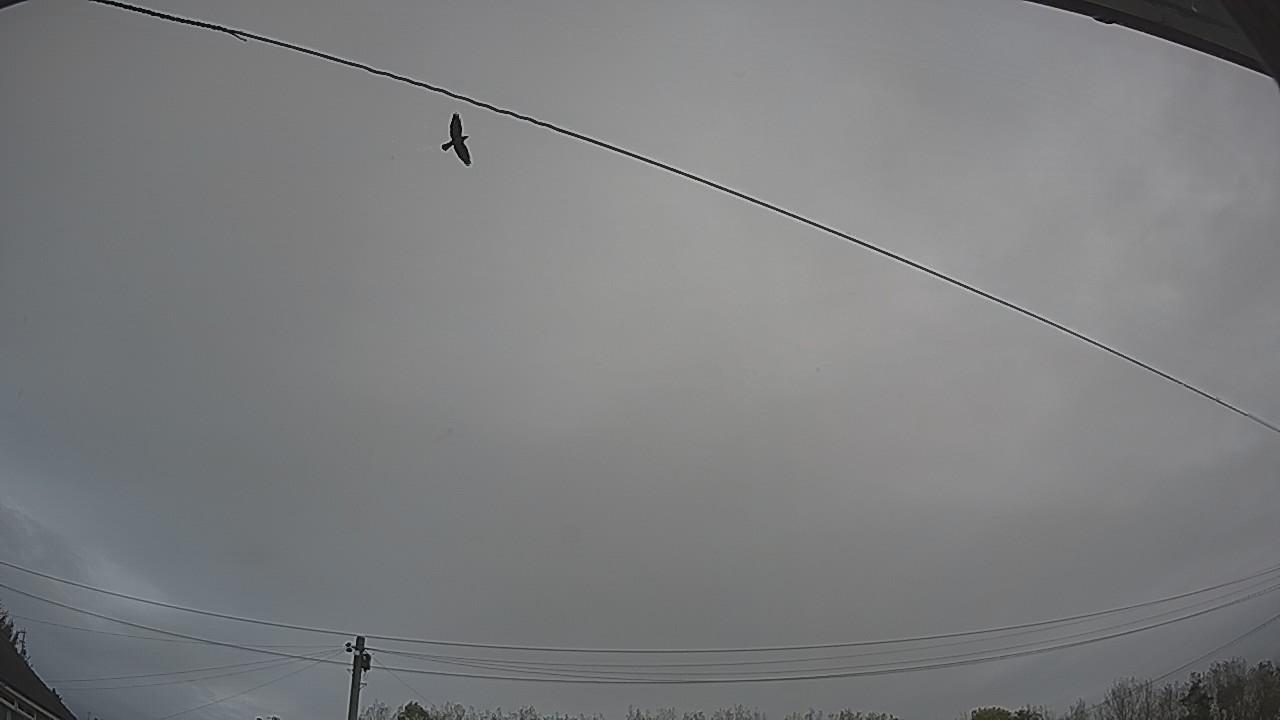 20261015_091451_cam2.jpg