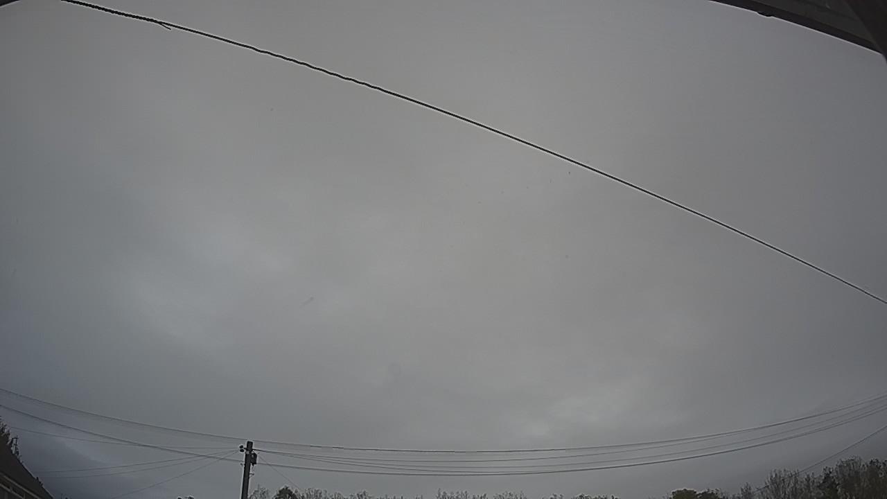 20261015_100908_cam2.jpg
