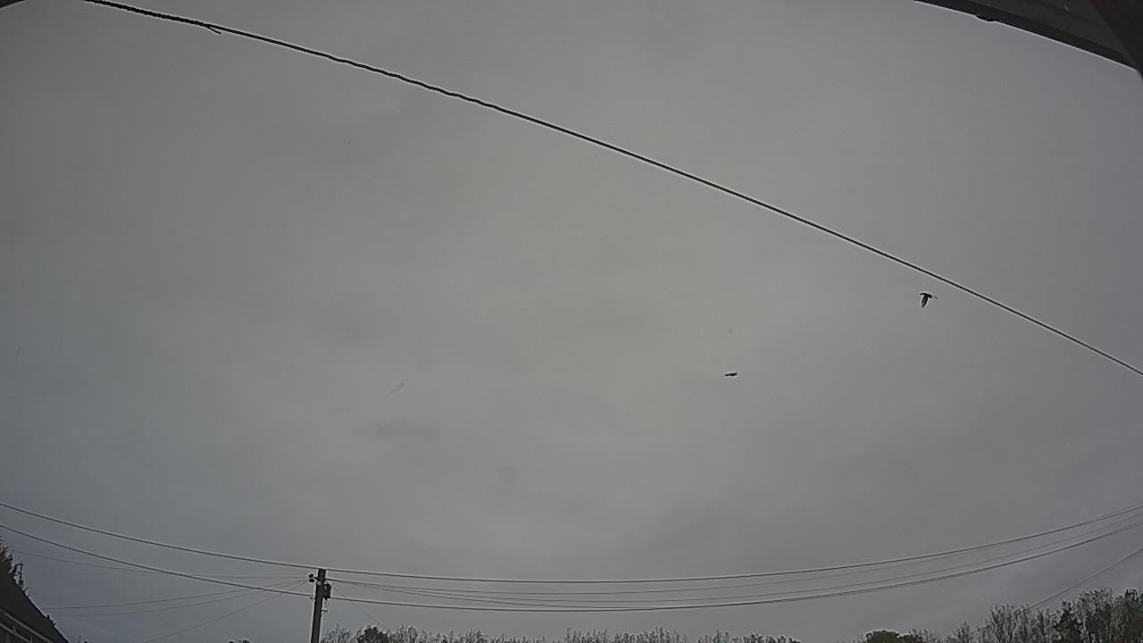 20261015_105710_cam2.jpg