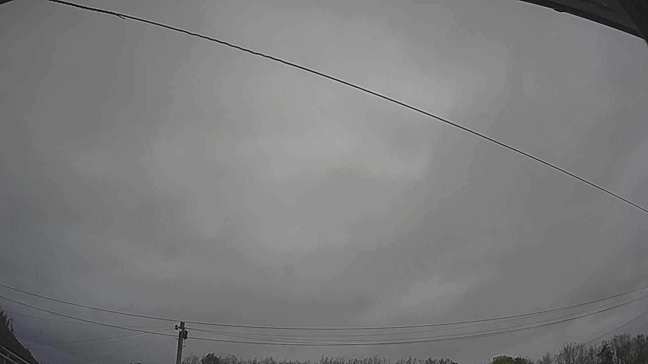 20261015_115122_cam2.jpg