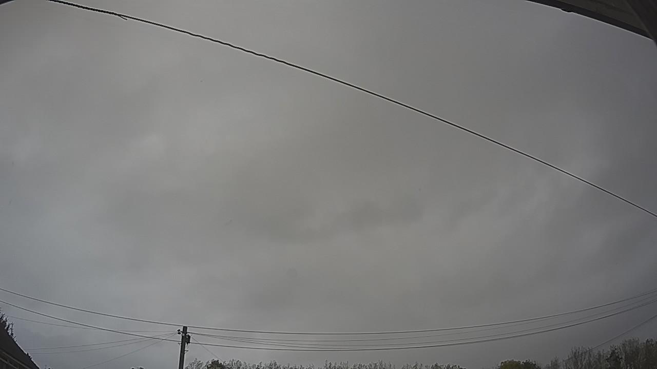 20261015_125034_cam2.jpg