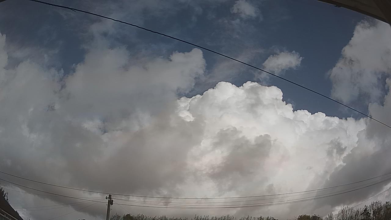20261016_111510_cam2.jpg