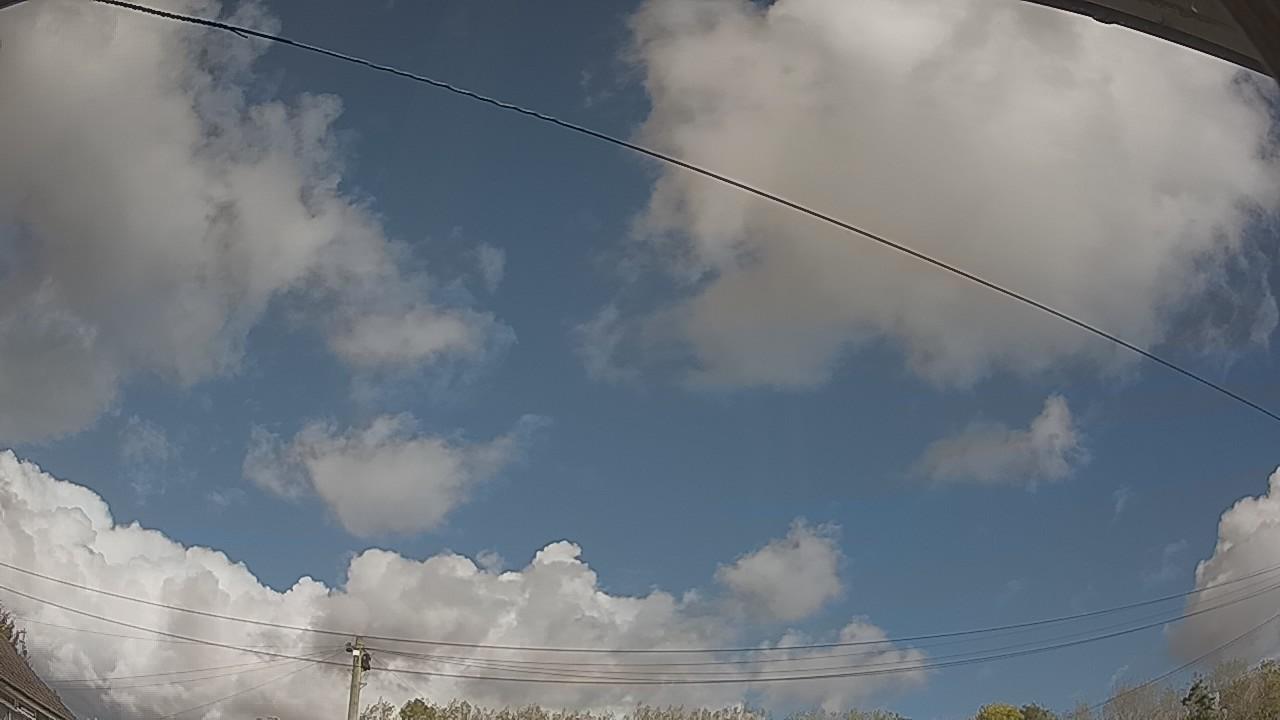 20261016_115933_cam2.jpg