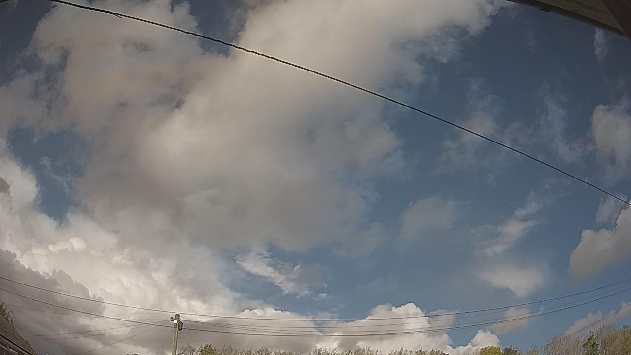 20261016_135017_cam2.jpg