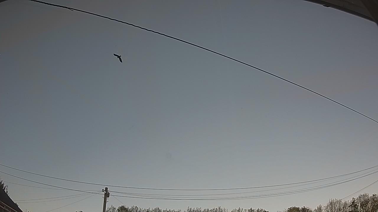20261016_163131_cam2.jpg