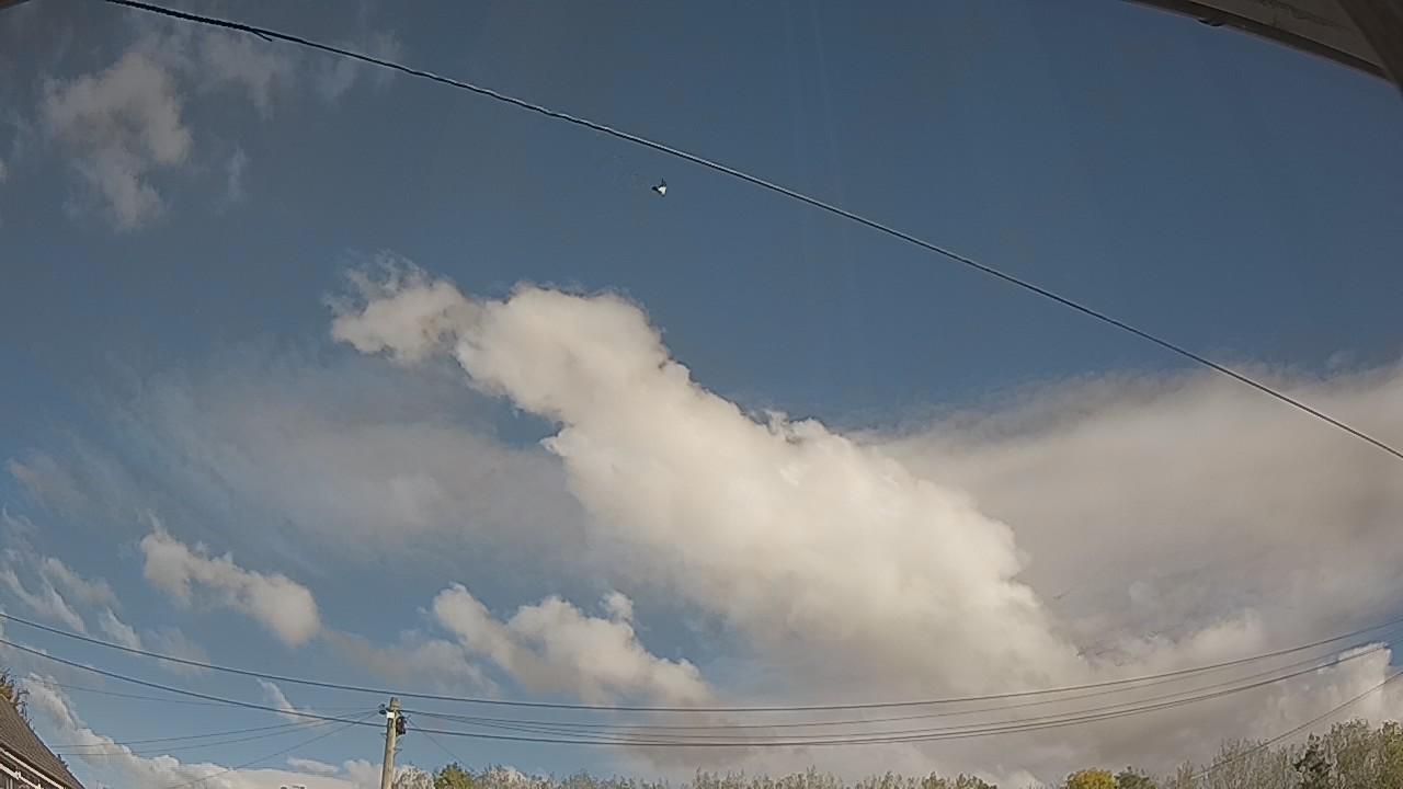 20261018_110337_cam2.jpg