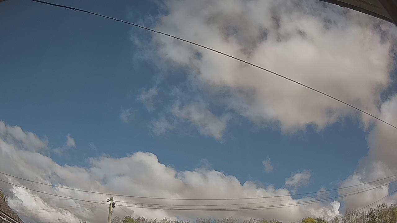 20261018_113256_cam2.jpg