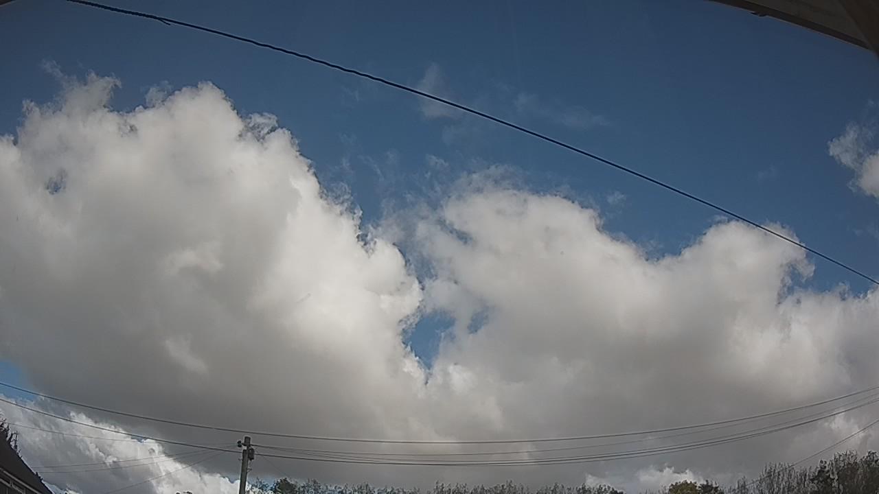 20261018_121859_cam2.jpg
