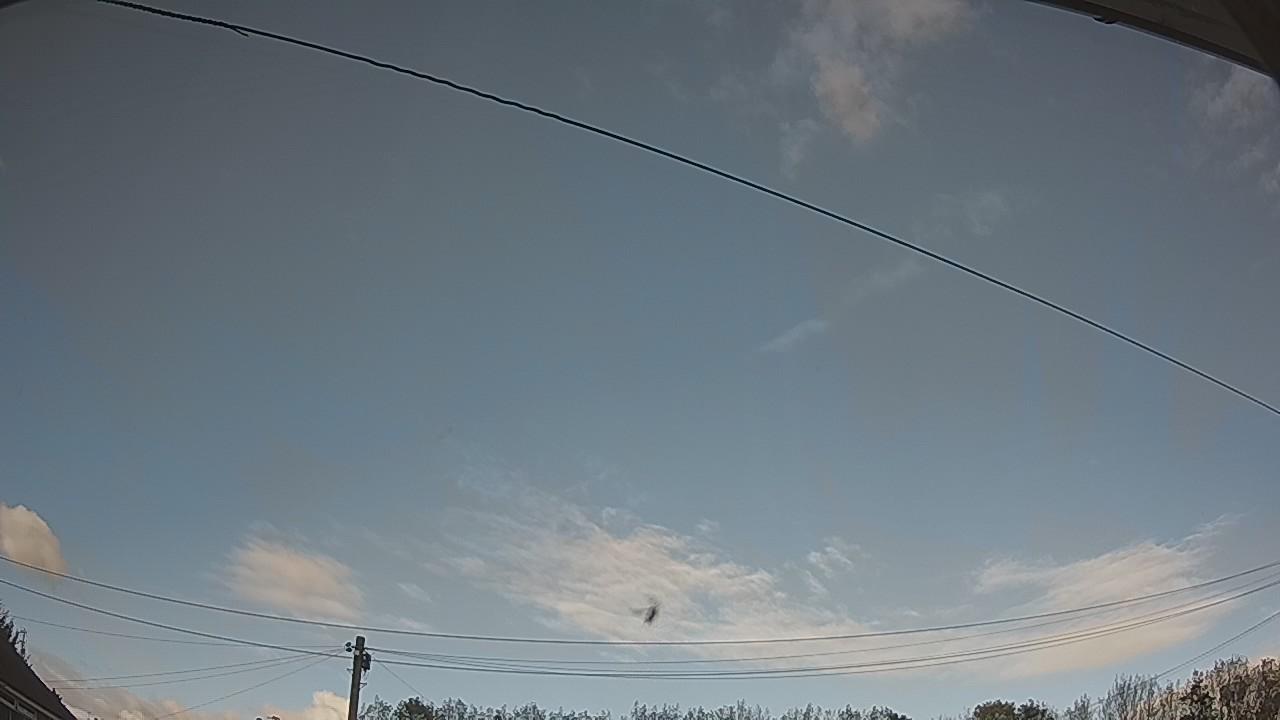 20261018_150733_cam2.jpg