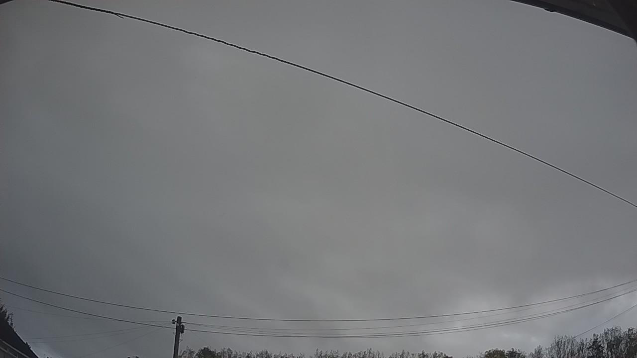 20261019_062816_cam2.jpg