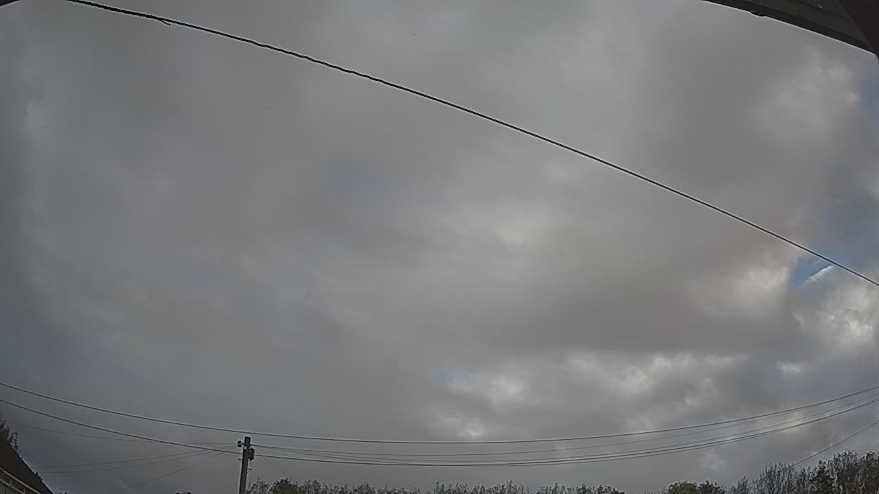 20261019_081036_cam2.jpg