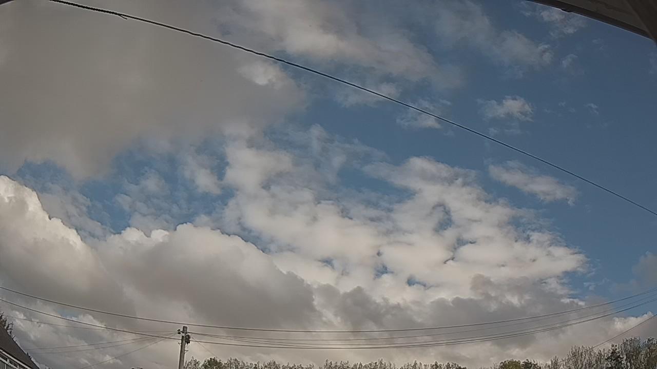 20261019_095432_cam2.jpg