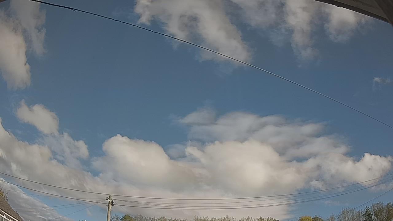 20261019_100508_cam2.jpg