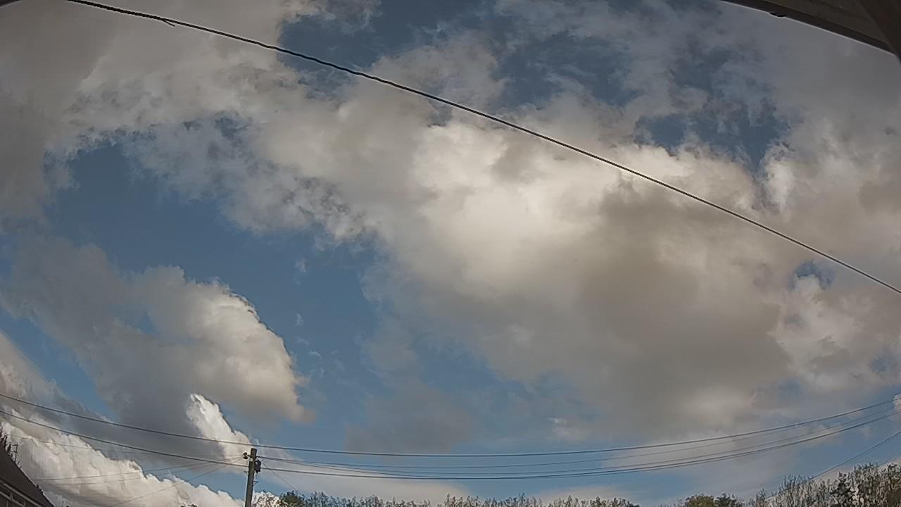 20261019_121731_cam2.jpg