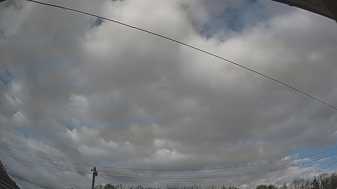 20261019_143046_cam2.jpg