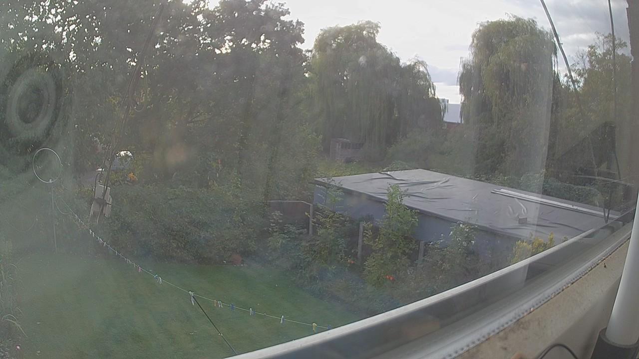 20261019_151226_cam1.jpg