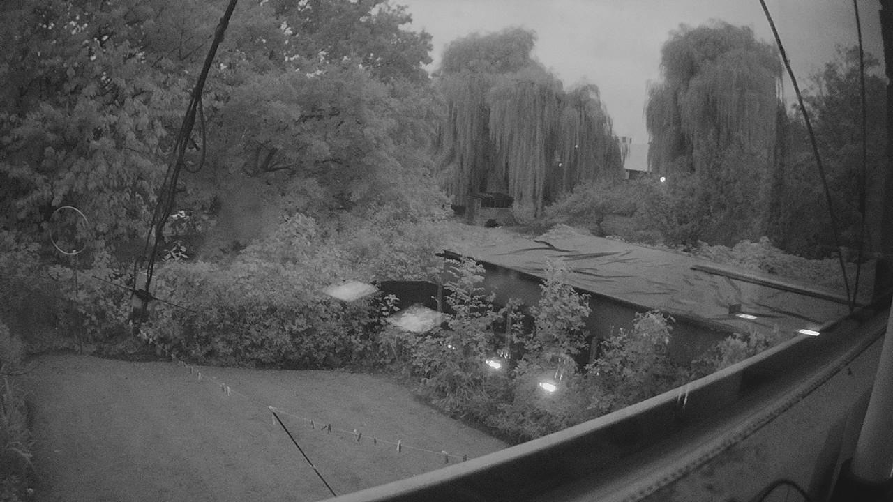 20261020_062604_cam1.jpg