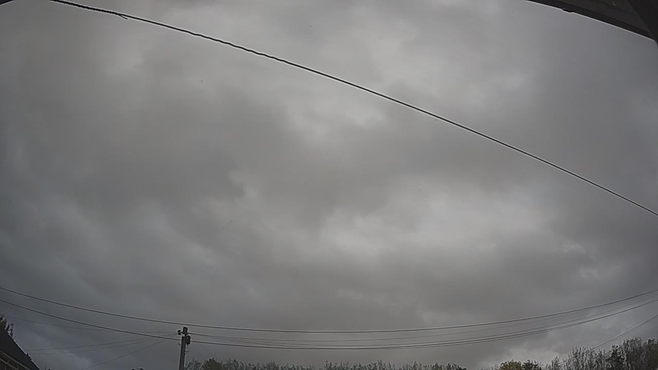 20261020_110620_cam2.jpg