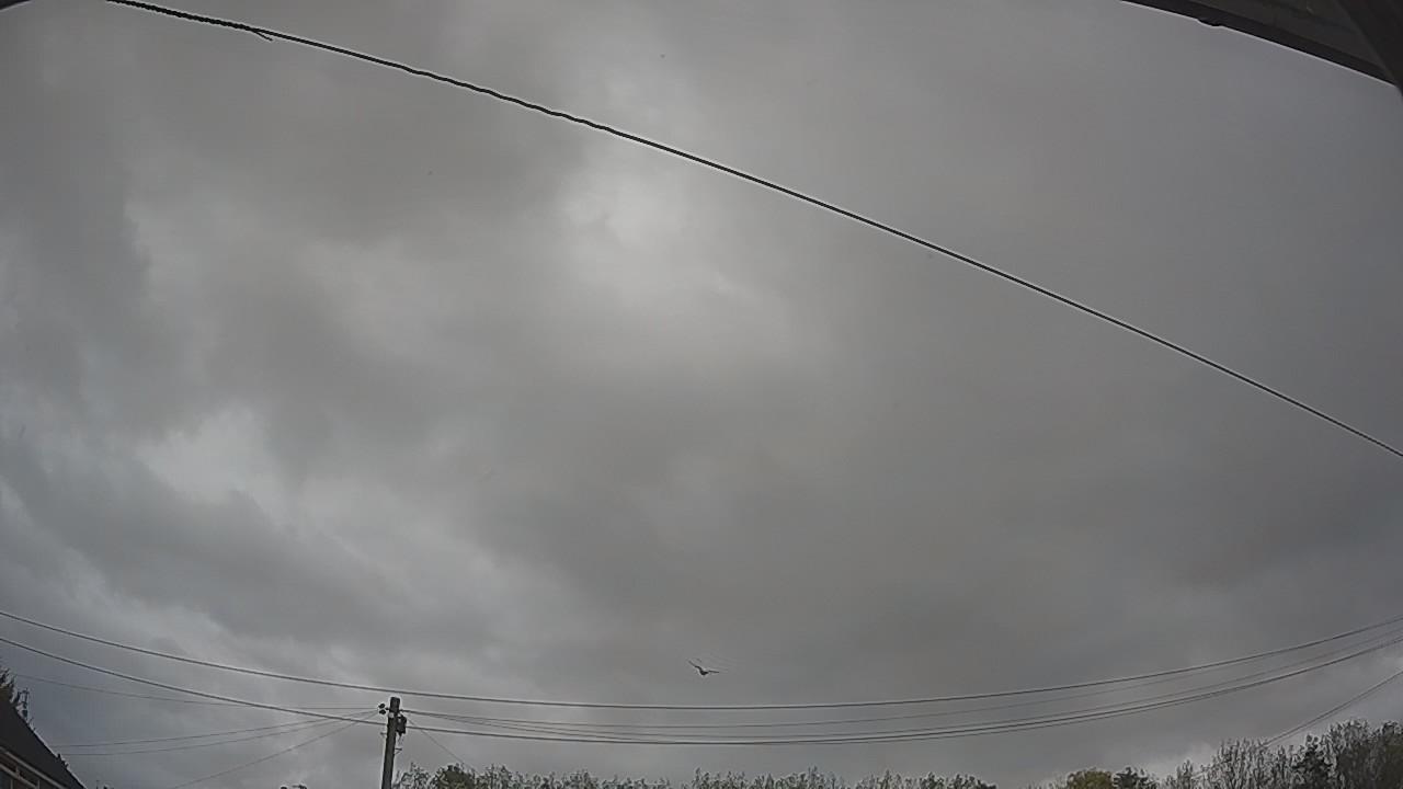 20261020_113131_cam2.jpg