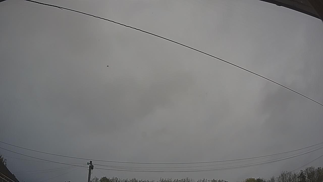 20261021_103155_cam2.jpg