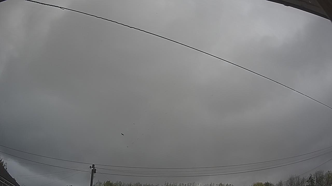 20261021_124733_cam2.jpg