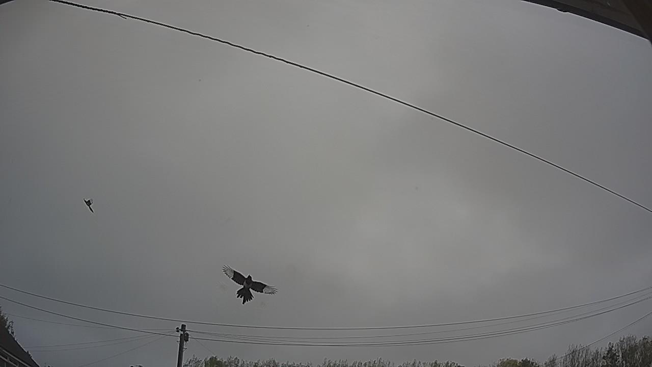 20261021_142412_cam2.jpg