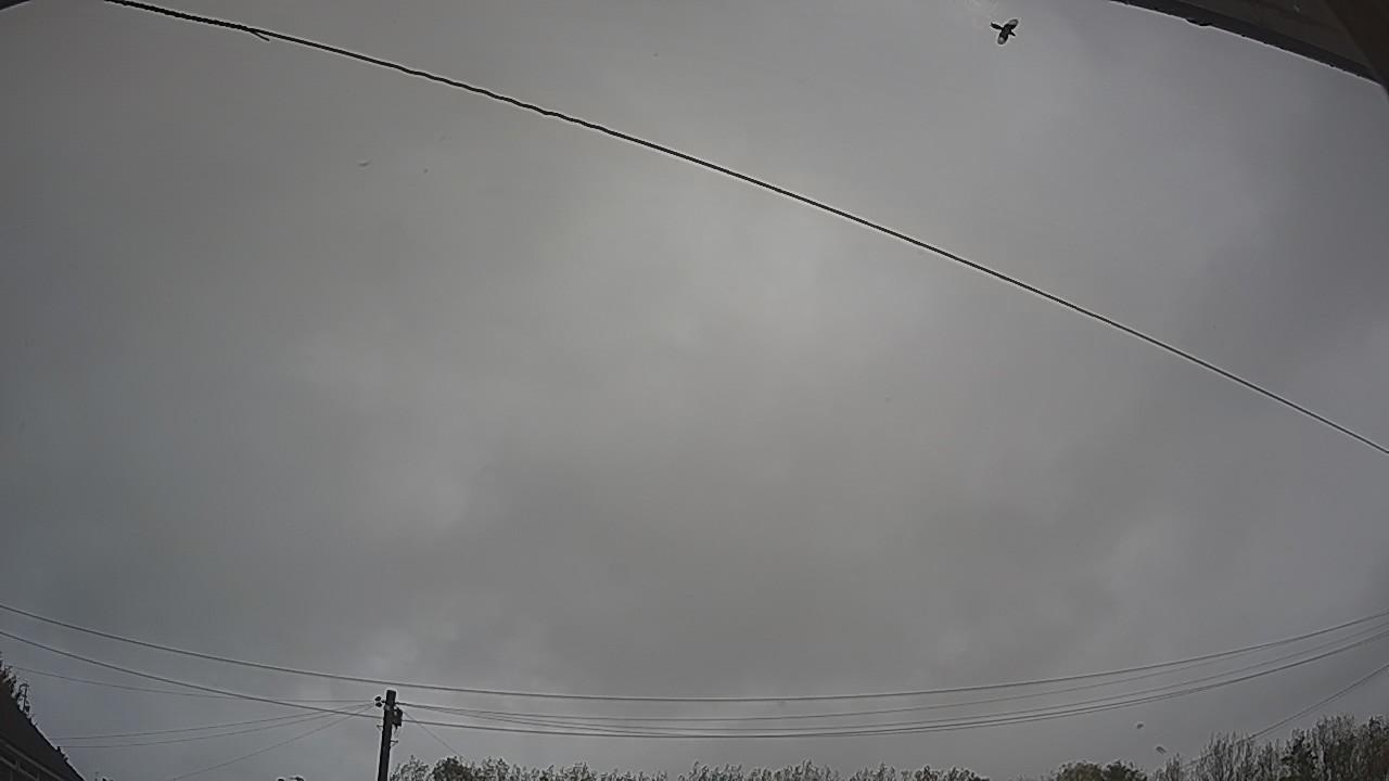20261021_155203_cam2.jpg