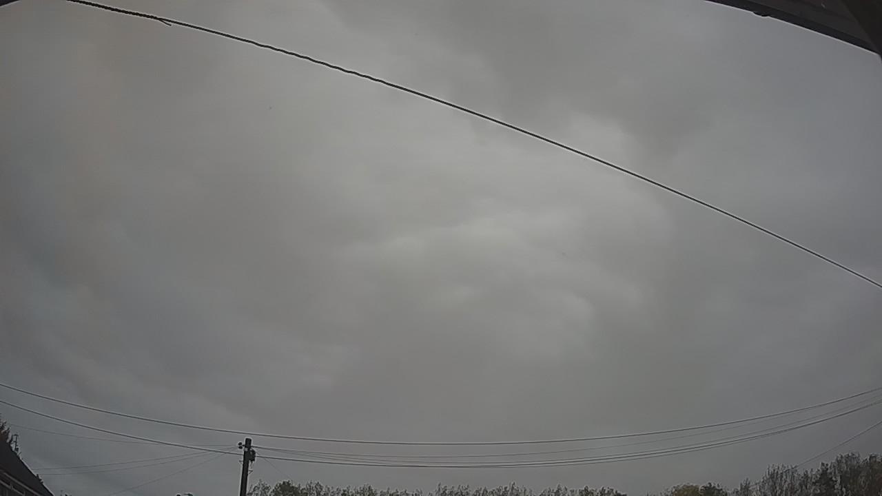 20261022_064910_cam2.jpg