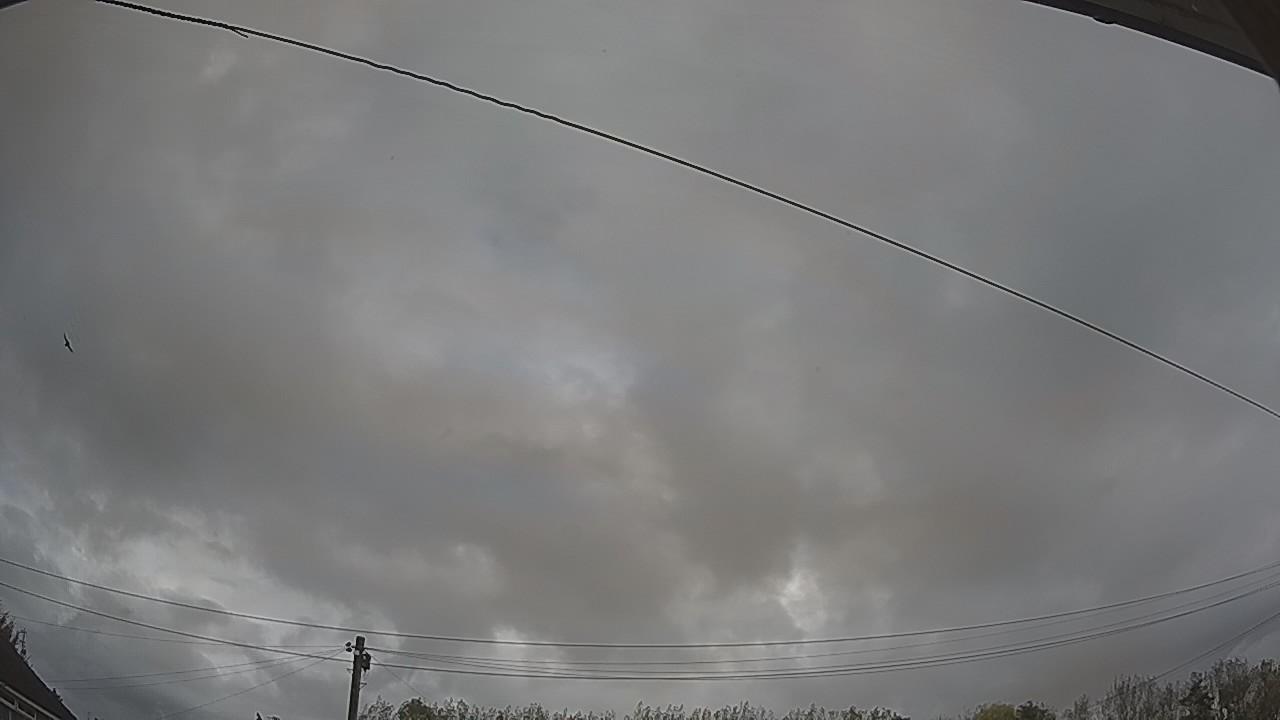20261022_104913_cam2.jpg
