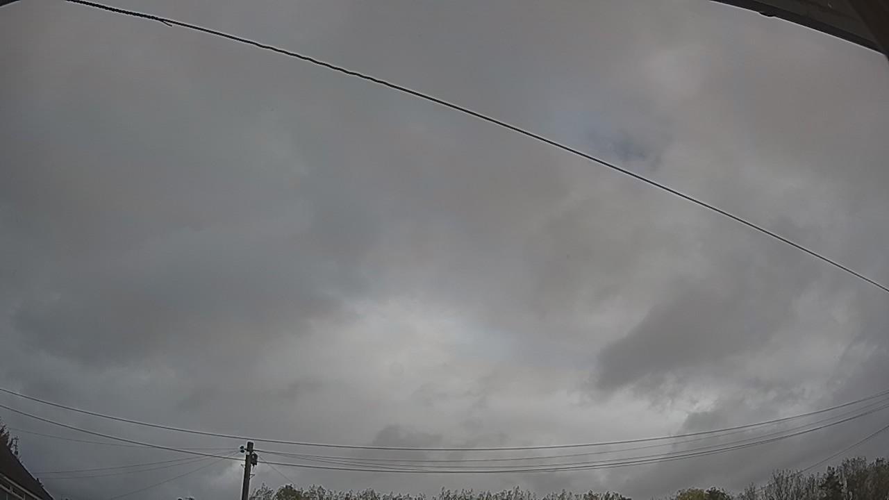 20261022_110530_cam2.jpg