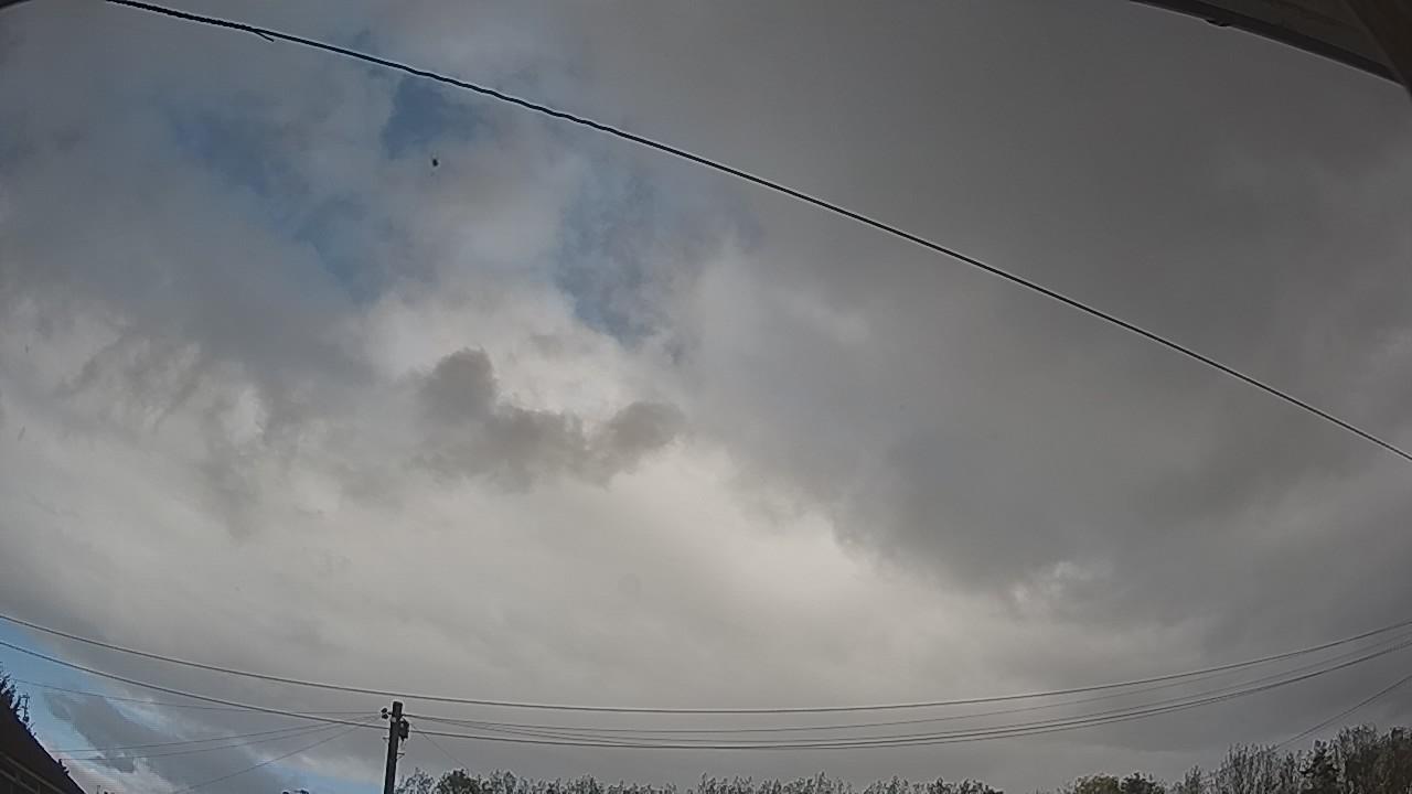 20261022_125634_cam2.jpg