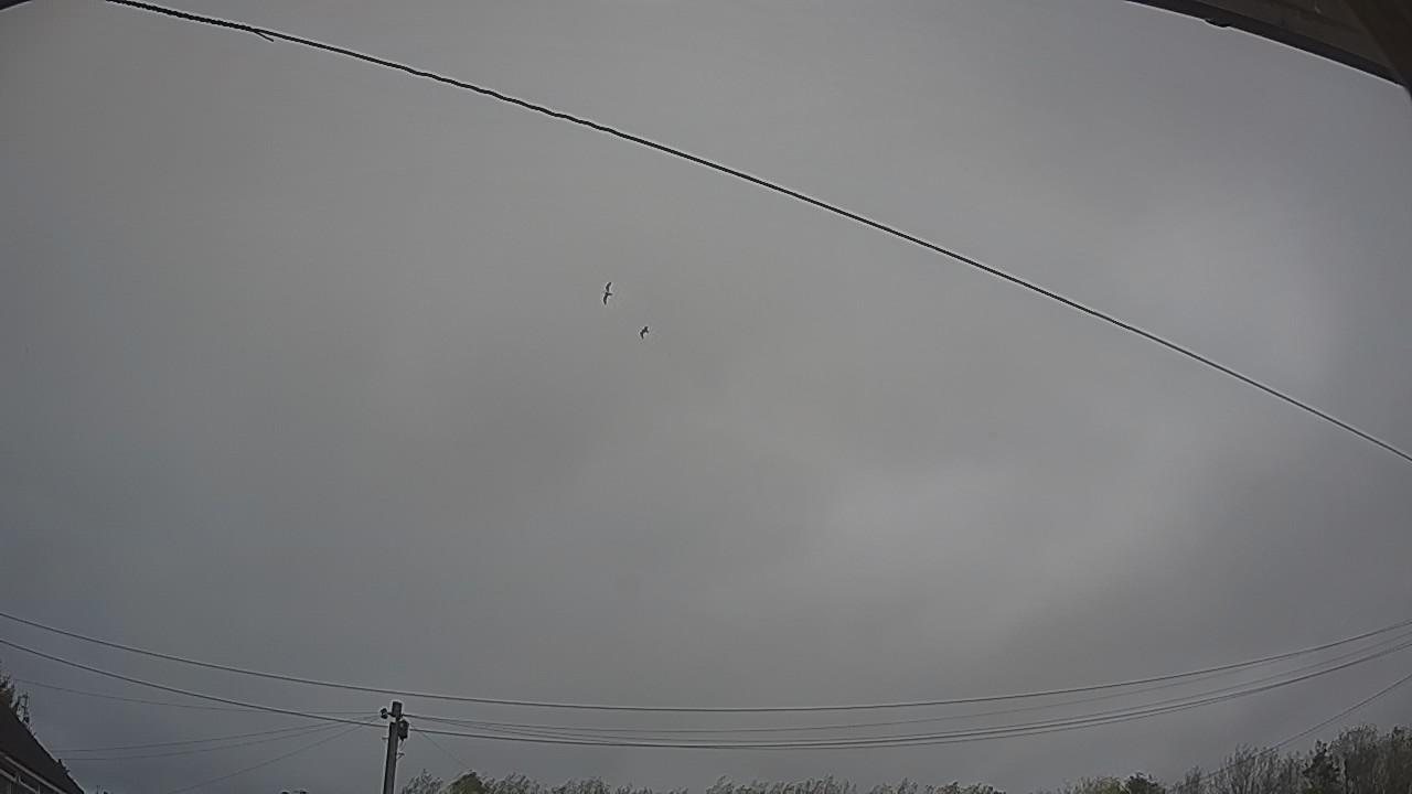20261023_132531_cam2.jpg