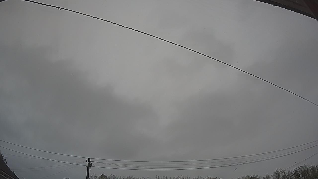 20261024_134618_cam2.jpg
