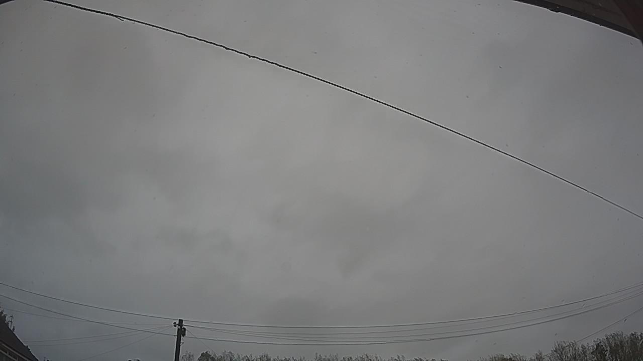 20261024_135955_cam2.jpg