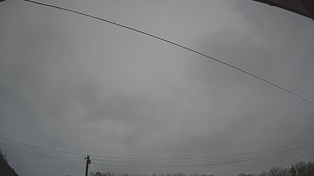 20261024_142023_cam2.jpg