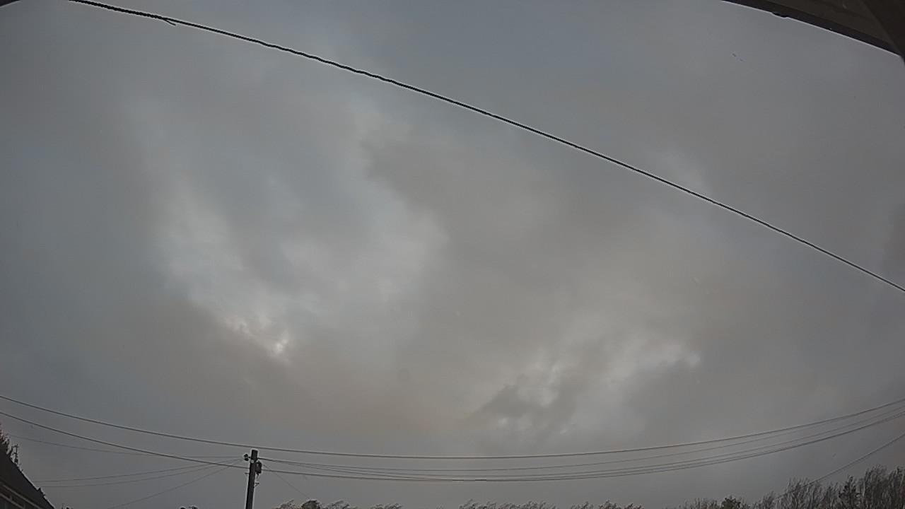 20261025_081132_cam2.jpg