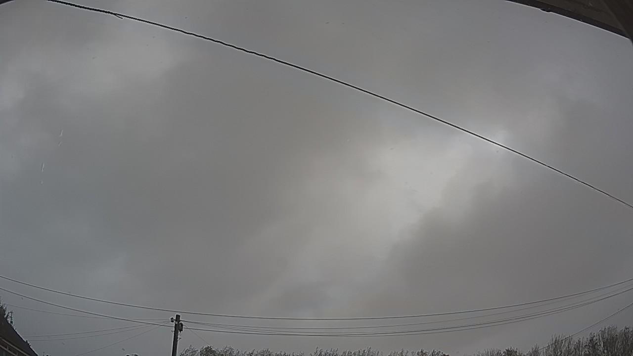 20261025_083500_cam2.jpg