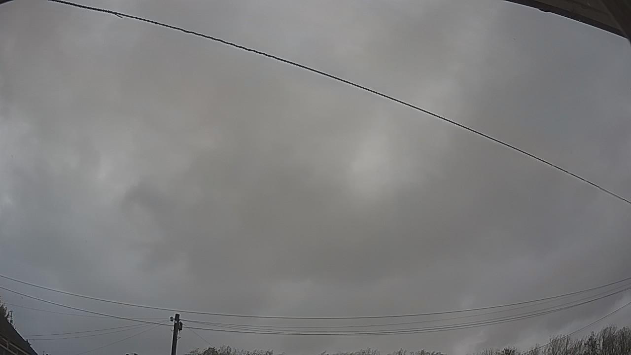 20261025_084901_cam2.jpg