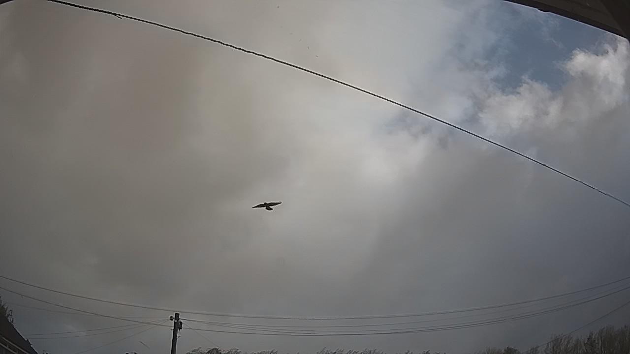 20261025_091402_cam2.jpg